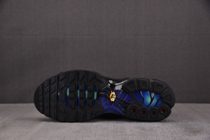 Nike Air Max Plus Black Blue Red DZ4509-001
