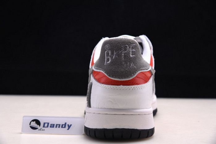 BAPE Shoe