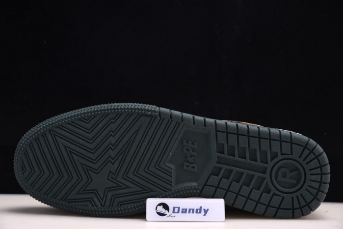 BAPE Shoe